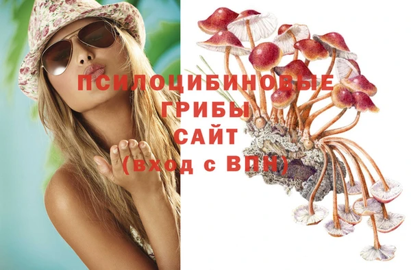 тгк Верхний Тагил