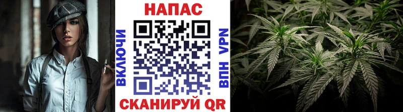 Купить закладки  Губаха  Марихуана планчик 